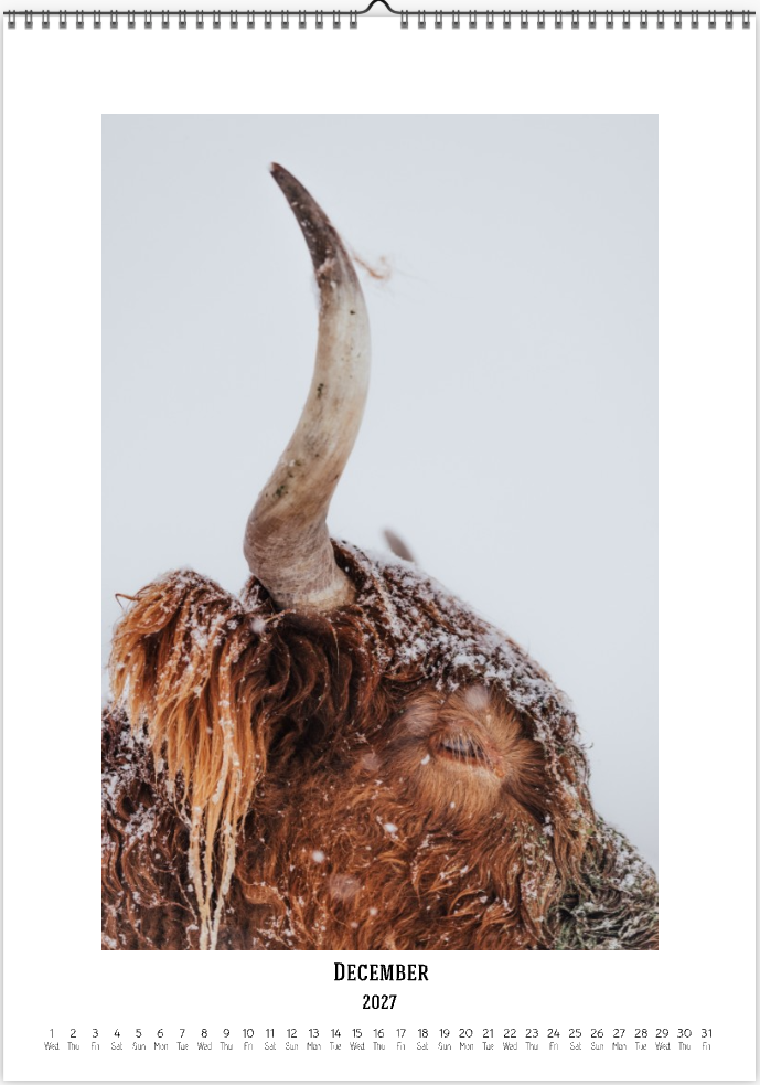 2027 Cattleman Photography - Fine Art Calendar