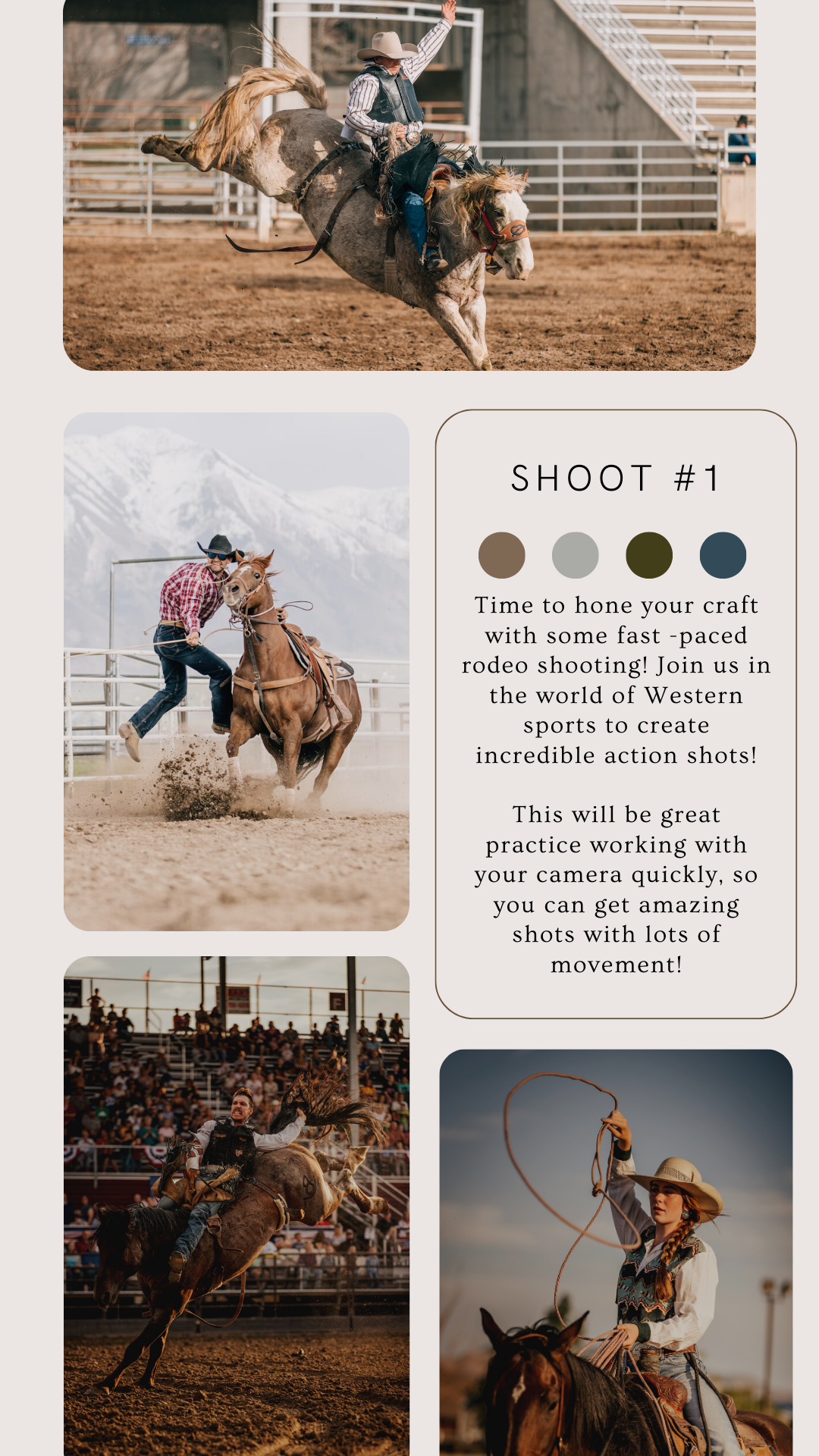 Mesa Workshop 2024 Ticket