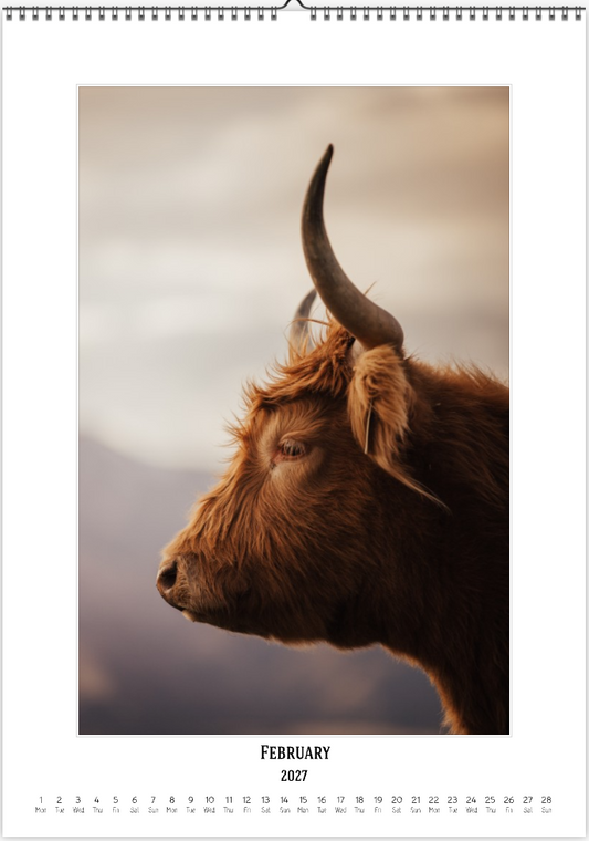 2027 Cattleman Photography - Fine Art Calendar