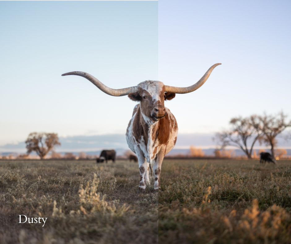 20 Cattleman Preset Bundle (Desktop Version)