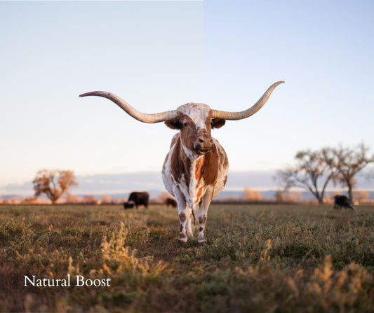 20 Cattleman Preset Bundle (Mobile Version)