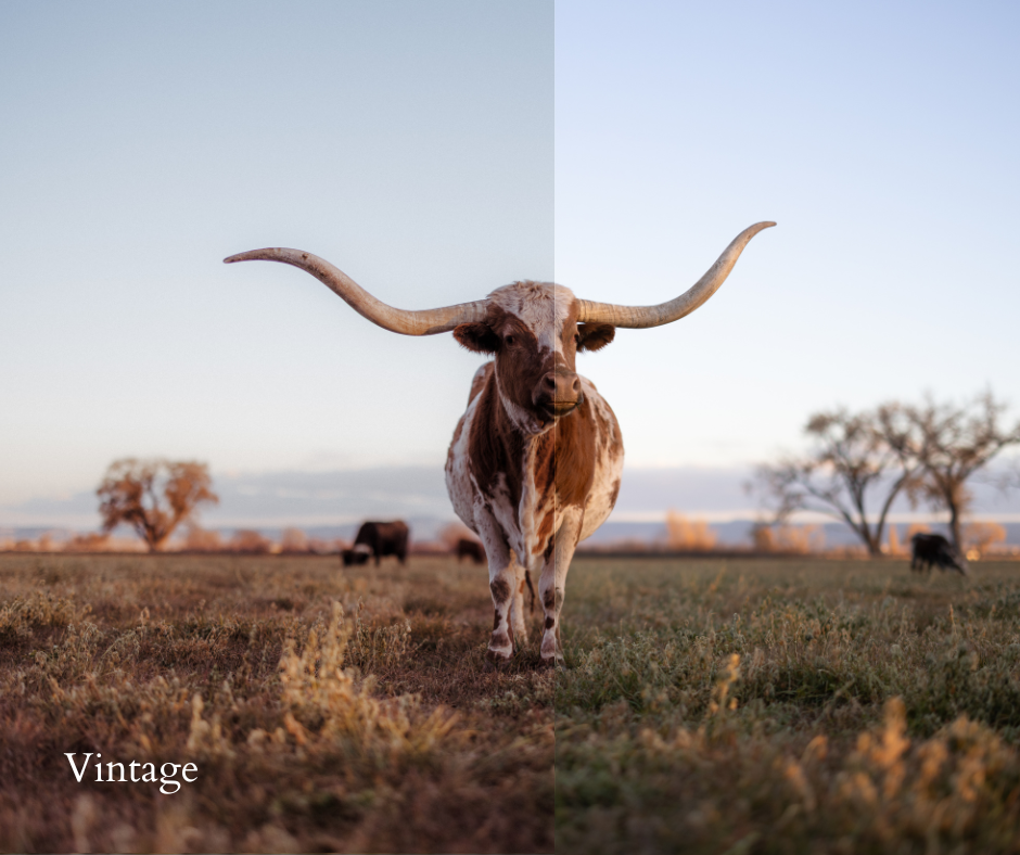 20 Cattleman Preset Bundle (Desktop Version)