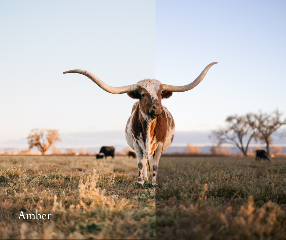 20 Cattleman Preset Bundle (Desktop Version)