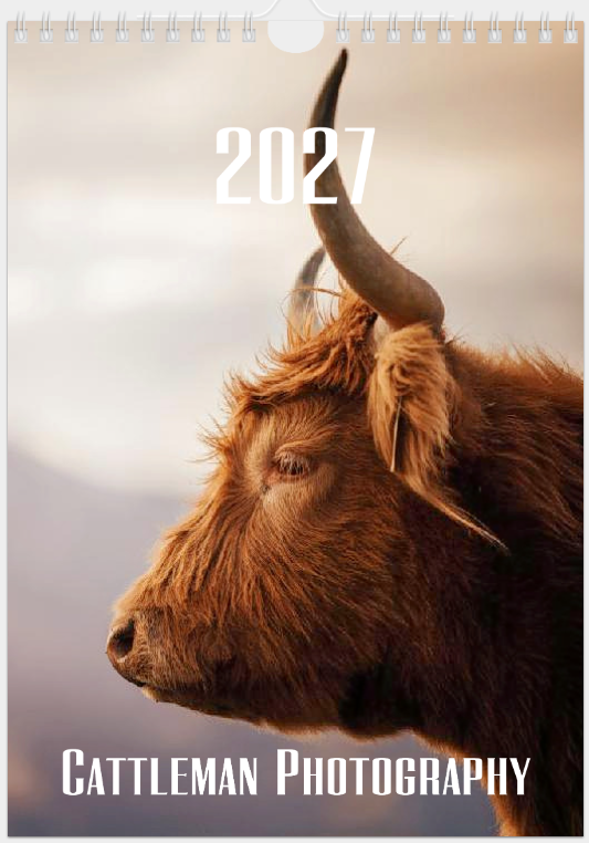 2027 Cattle Calendar