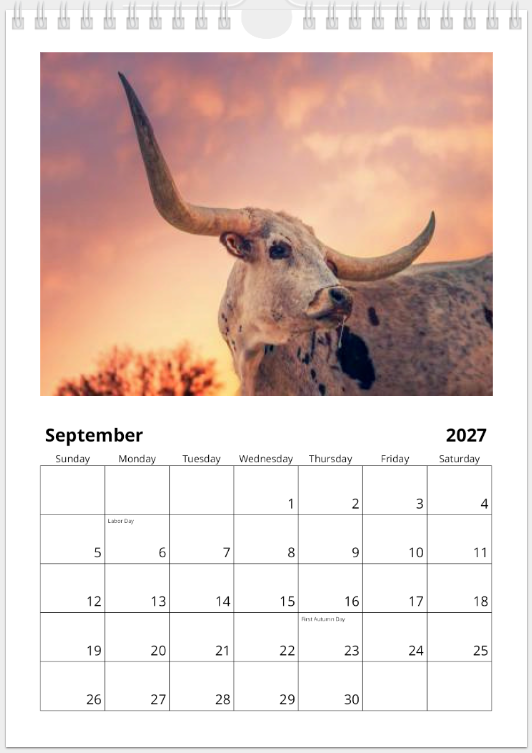 2027 Cattle Calendar