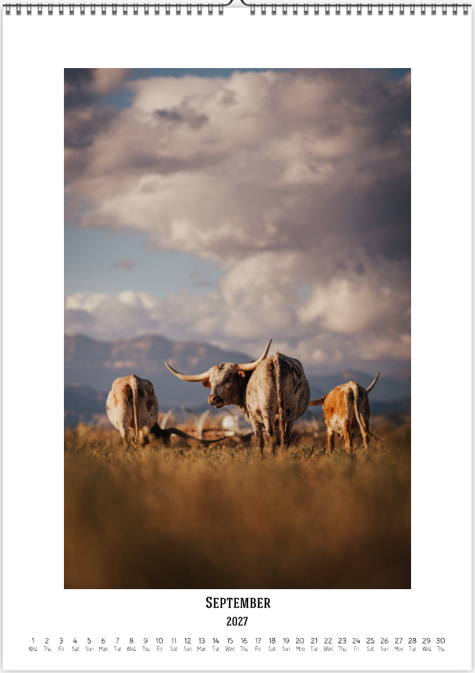 2027 Cattleman Photography - Fine Art Calendar