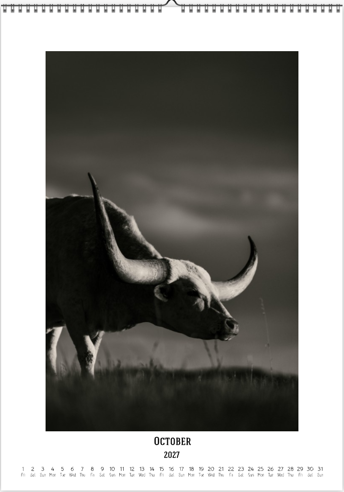 2027 Cattleman Photography - Fine Art Calendar