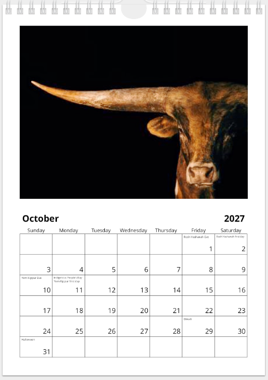 2027 Cattle Calendar