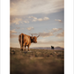 2027 Cattleman Photography - Fine Art Calendar