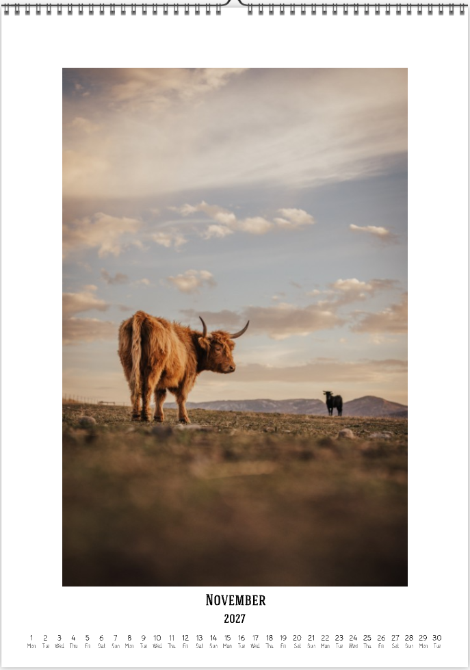 2027 Cattleman Photography - Fine Art Calendar