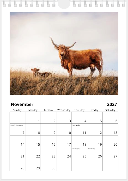 2027 Cattle Calendar