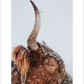 2027 Cattleman Photography - Fine Art Calendar