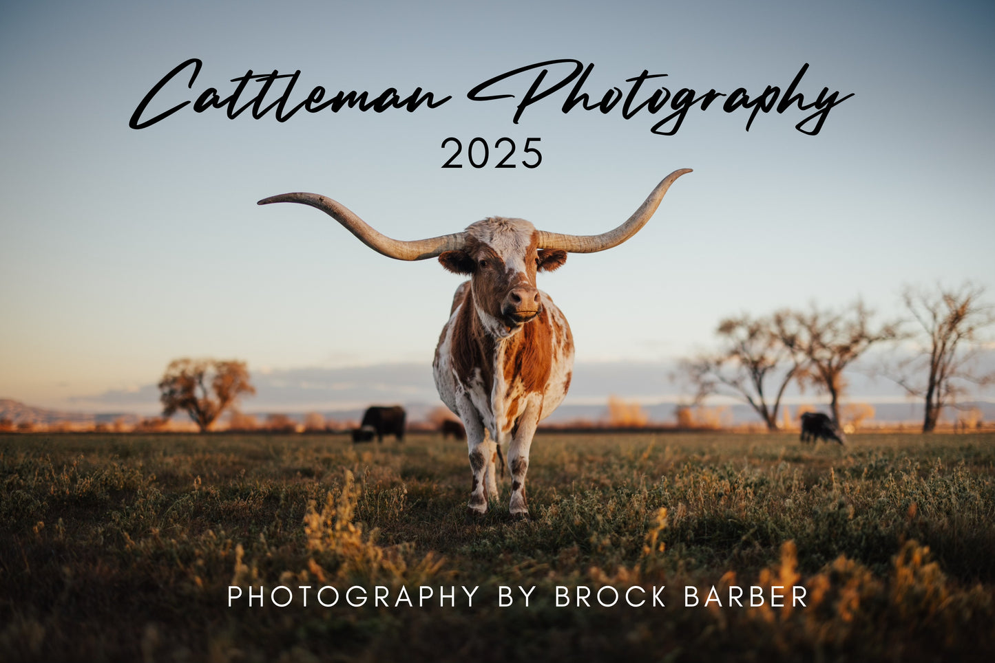 2025 Cattle Calendar