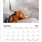 2027 Cattle Calendar