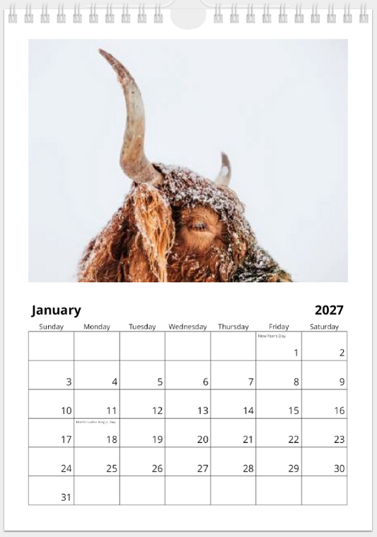 2027 Cattle Calendar