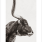 2027 Cattleman Photography - Fine Art Calendar