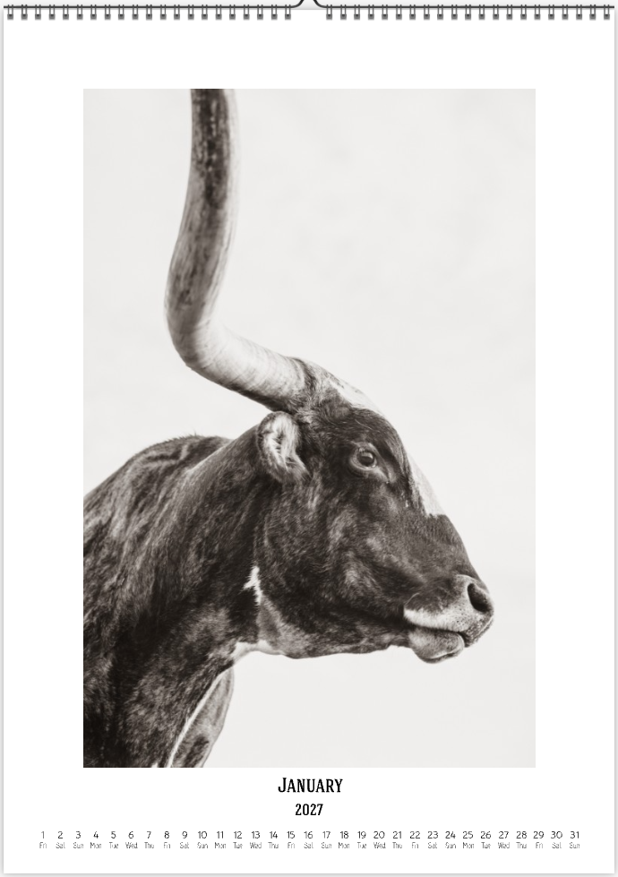 2027 Cattleman Photography - Fine Art Calendar