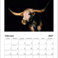 2027 Cattle Calendar