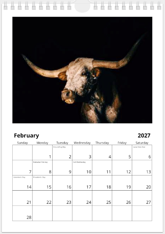 2027 Cattle Calendar