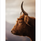 2027 Cattleman Photography - Fine Art Calendar