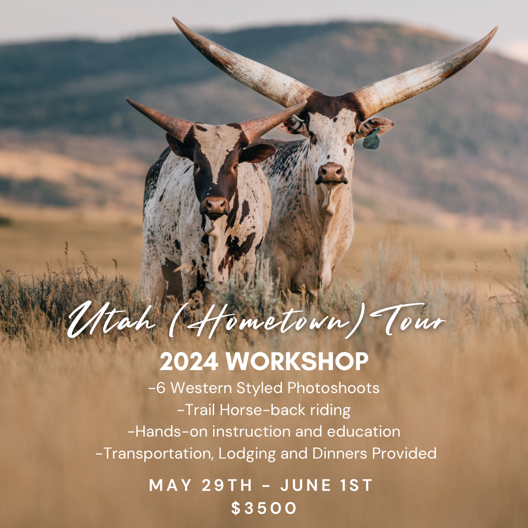 Utah Tours Workshop 2024 Ticket