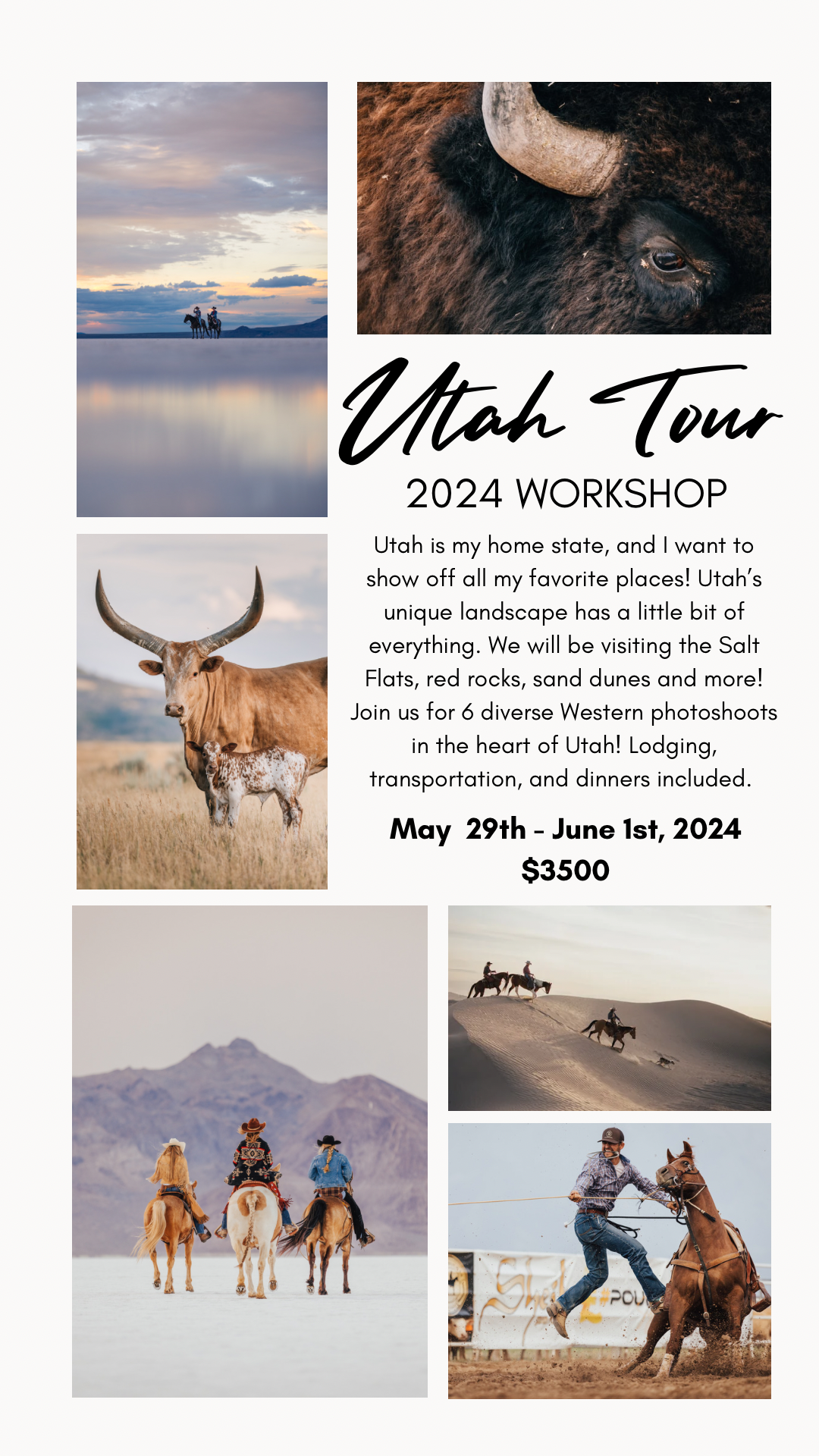 Utah Tours Workshop 2024 Ticket