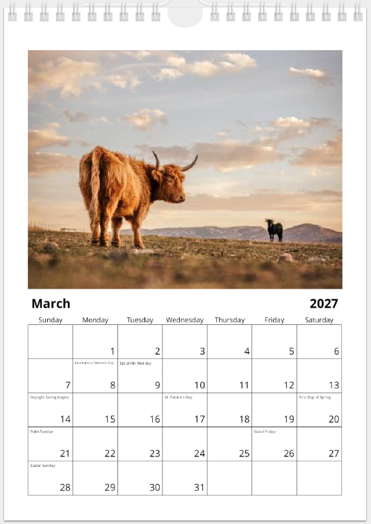 2027 Cattle Calendar