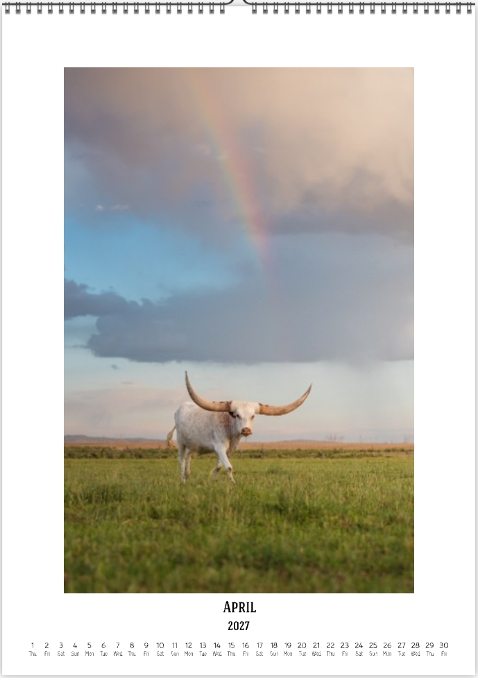 2027 Cattleman Photography - Fine Art Calendar