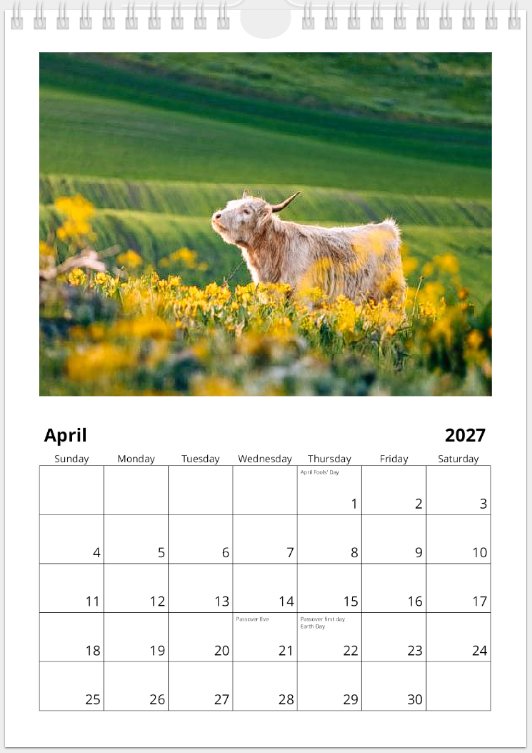 2027 Cattle Calendar