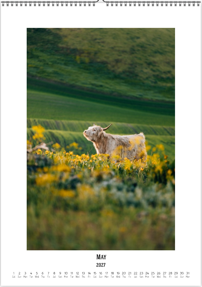 2027 Cattleman Photography - Fine Art Calendar