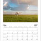 2027 Cattle Calendar