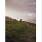 2027 Cattleman Photography - Fine Art Calendar