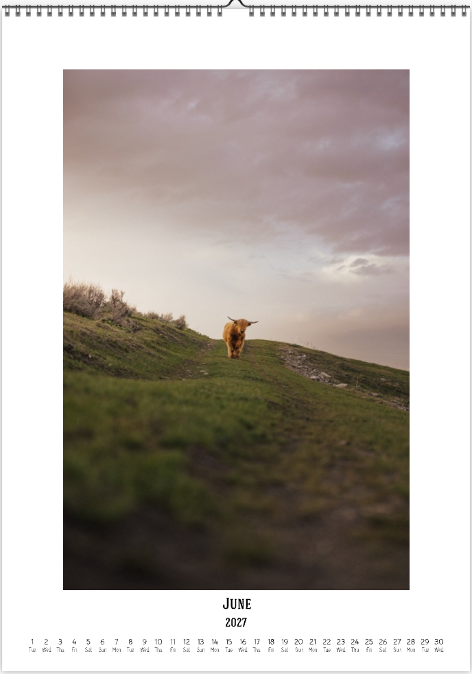 2027 Cattleman Photography - Fine Art Calendar