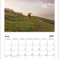 2027 Cattle Calendar
