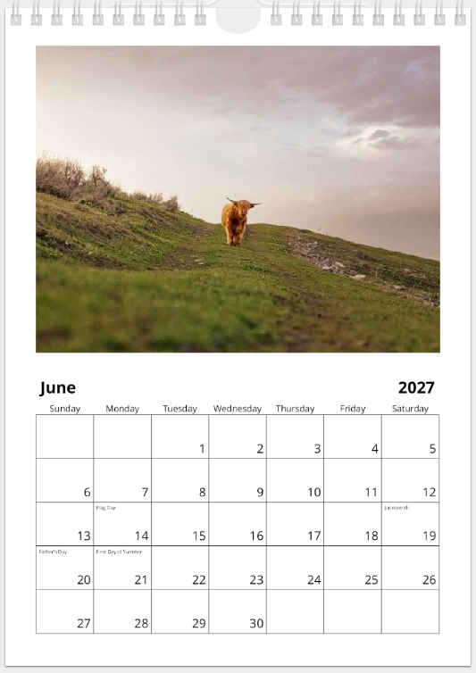 2027 Cattle Calendar