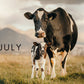 2025 Cattle Calendar