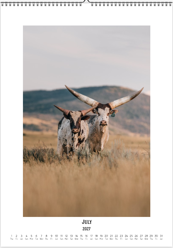 2027 Cattleman Photography - Fine Art Calendar