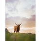 2027 Cattleman Photography - Fine Art Calendar