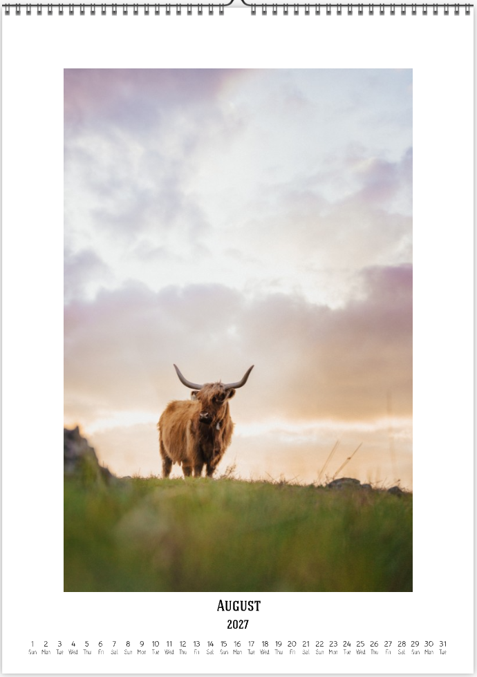 2027 Cattleman Photography - Fine Art Calendar