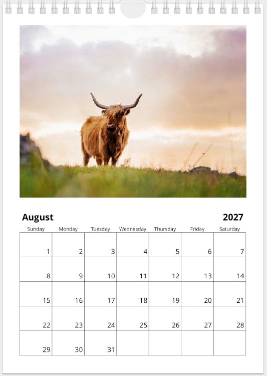 2027 Cattle Calendar