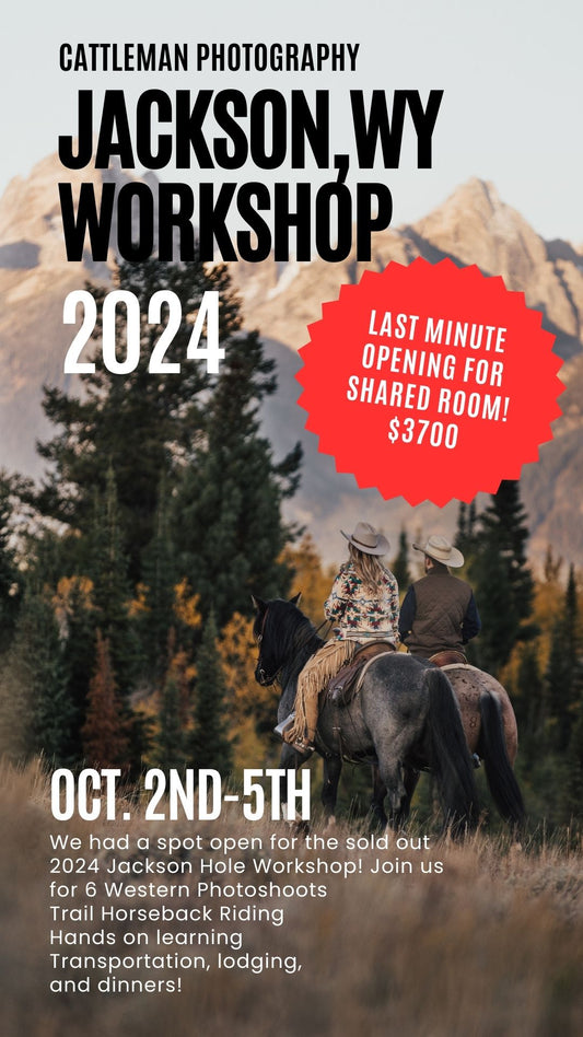 Jackson Hole Workshop 2024 Ticket